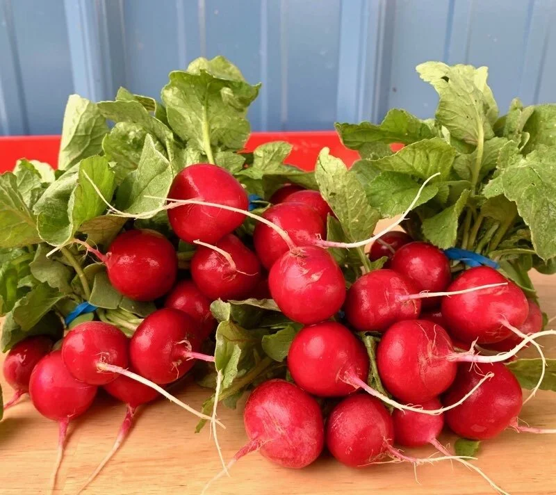 radish_littlebunch.jfif