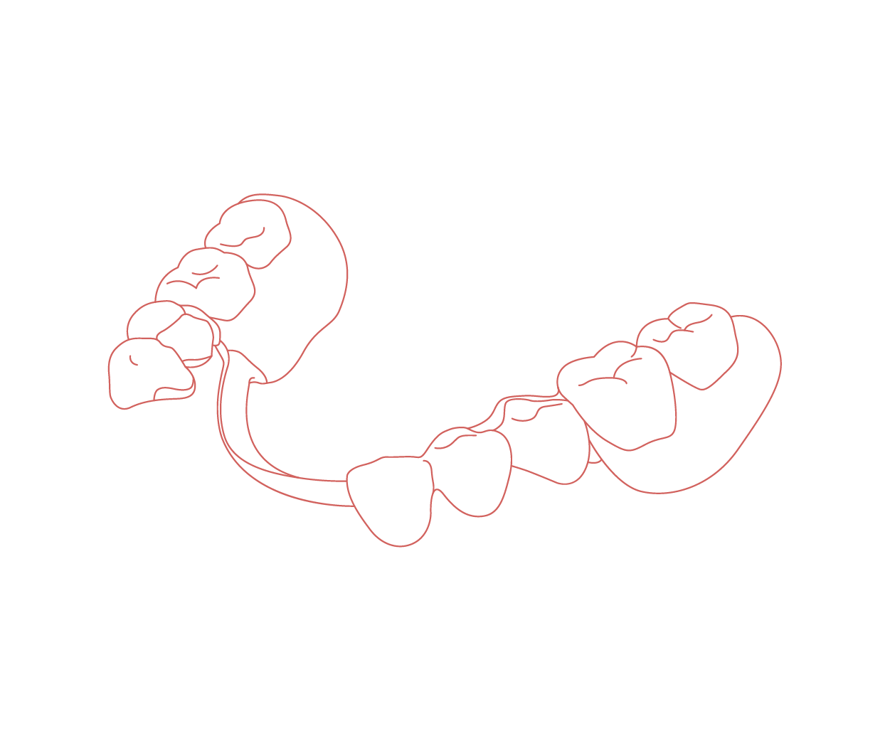 Services — Burch Dental Solutions