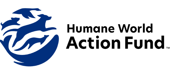 Action Fund Logo 1.png