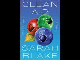 Clean Air, by Sarah Blake — Marguerite Reads