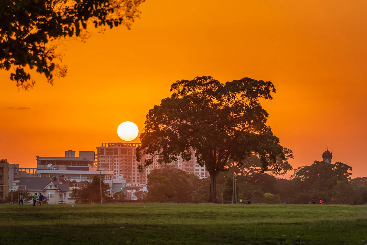 "Sunset view in the city" 2018. Queen's Park Savannah, Trinidad.