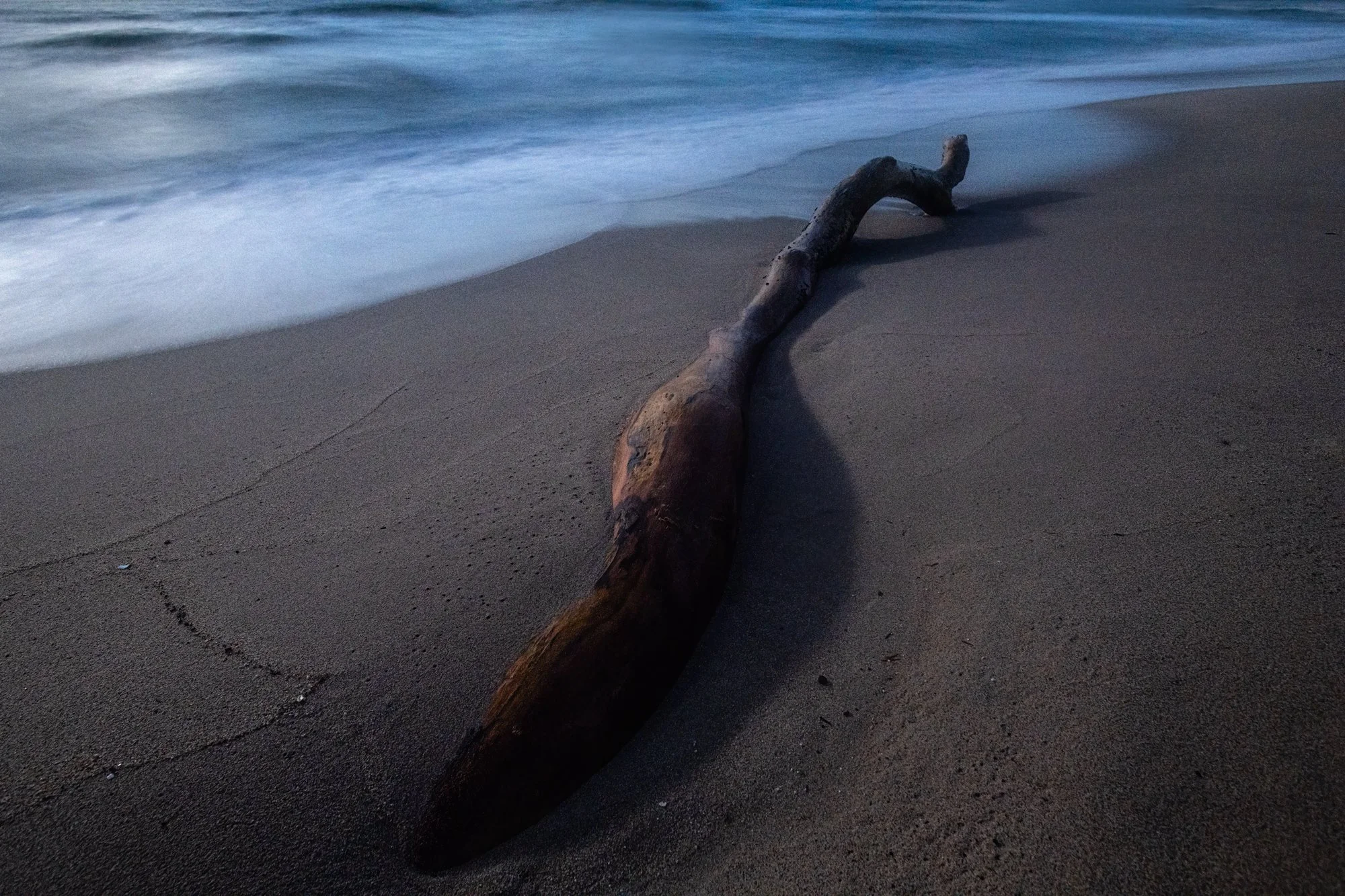 "Intertidal" 2023. A moonlit seashore at Guayamara Bay, Northeast coast, Trinidad.