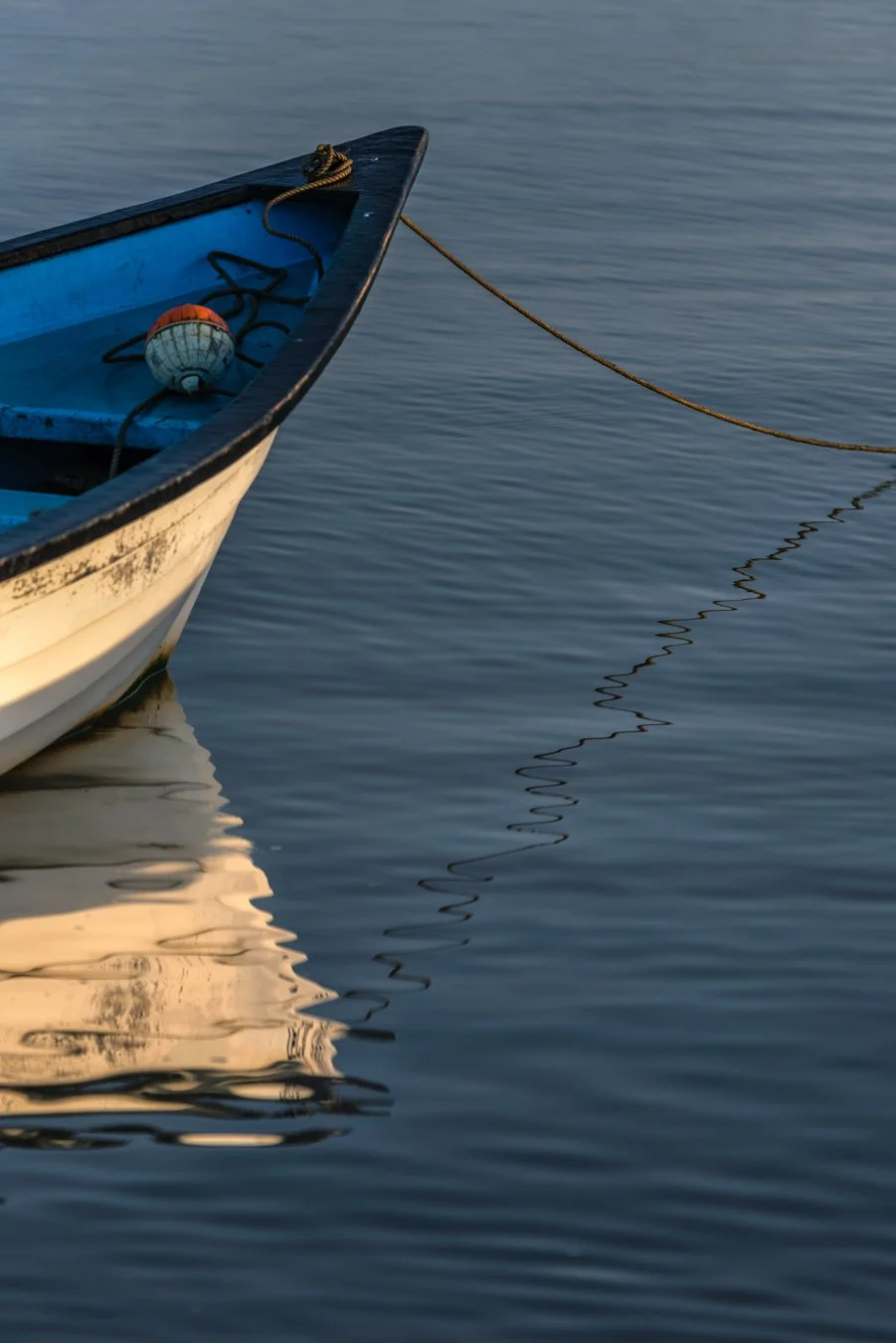 "Tethered ripples" 2021