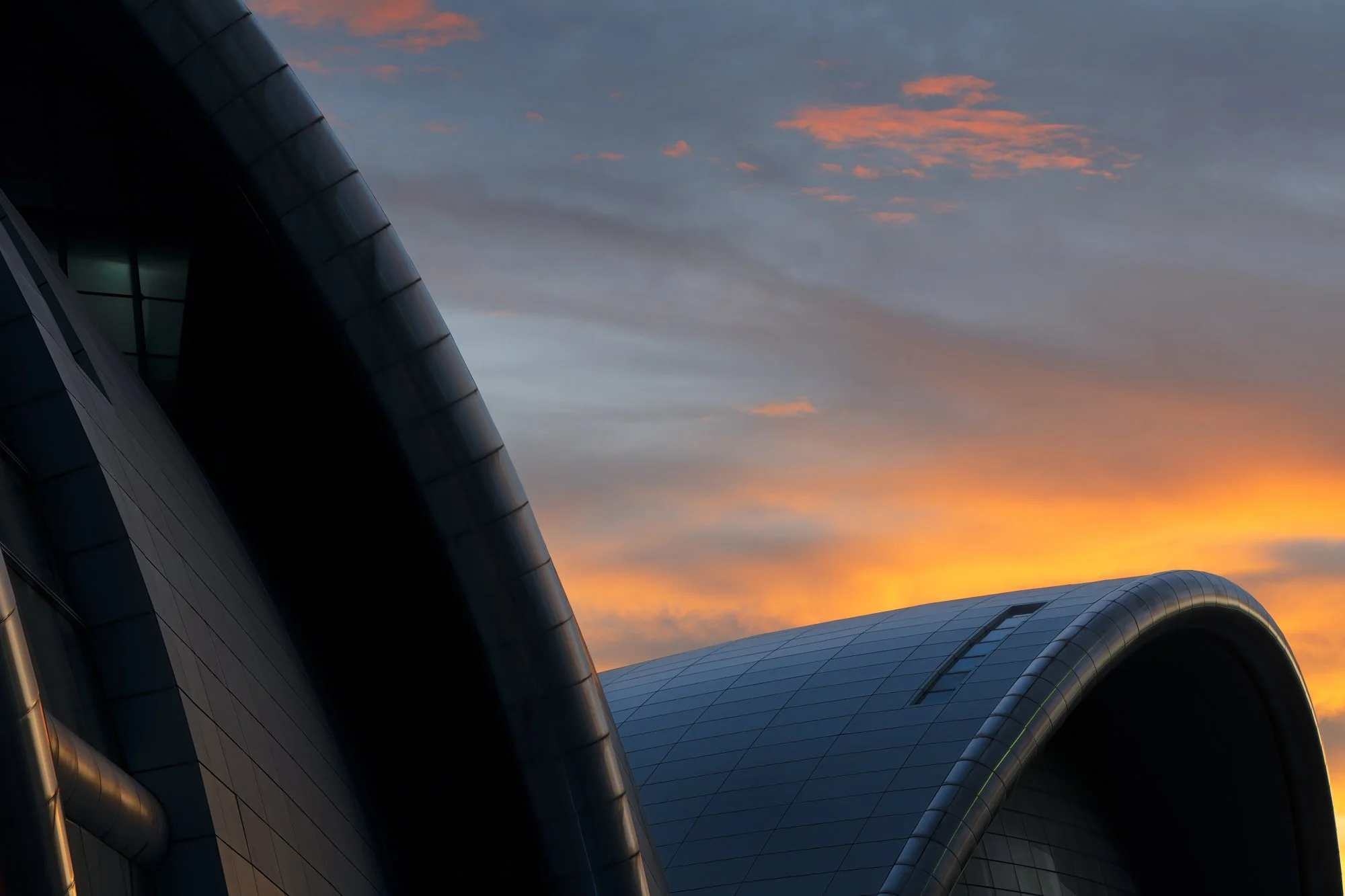 "Curves of steel" 2024. 