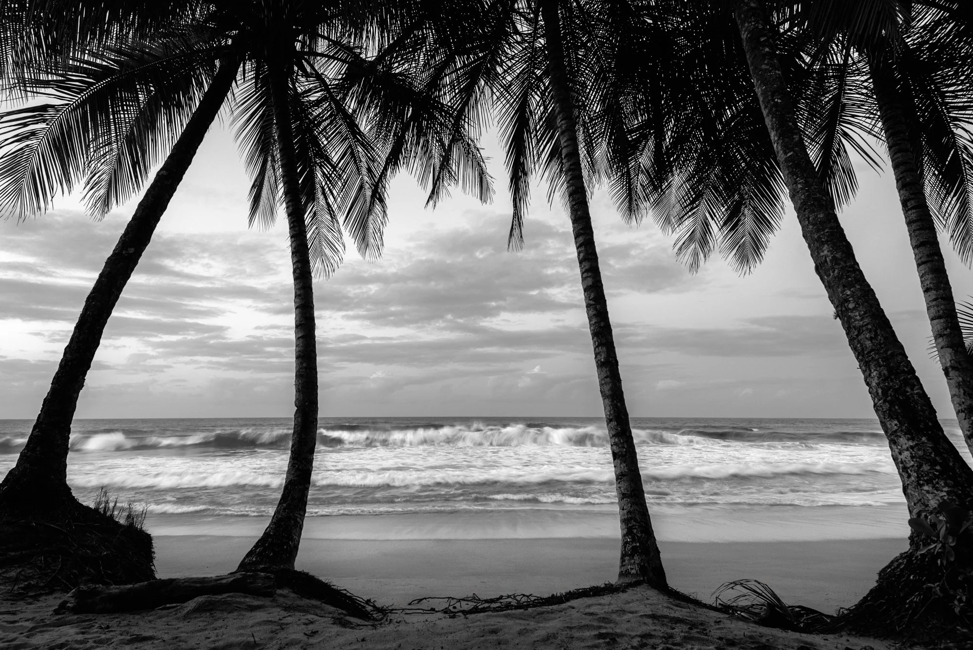 "Island escapes: Sound of the sea" 2021