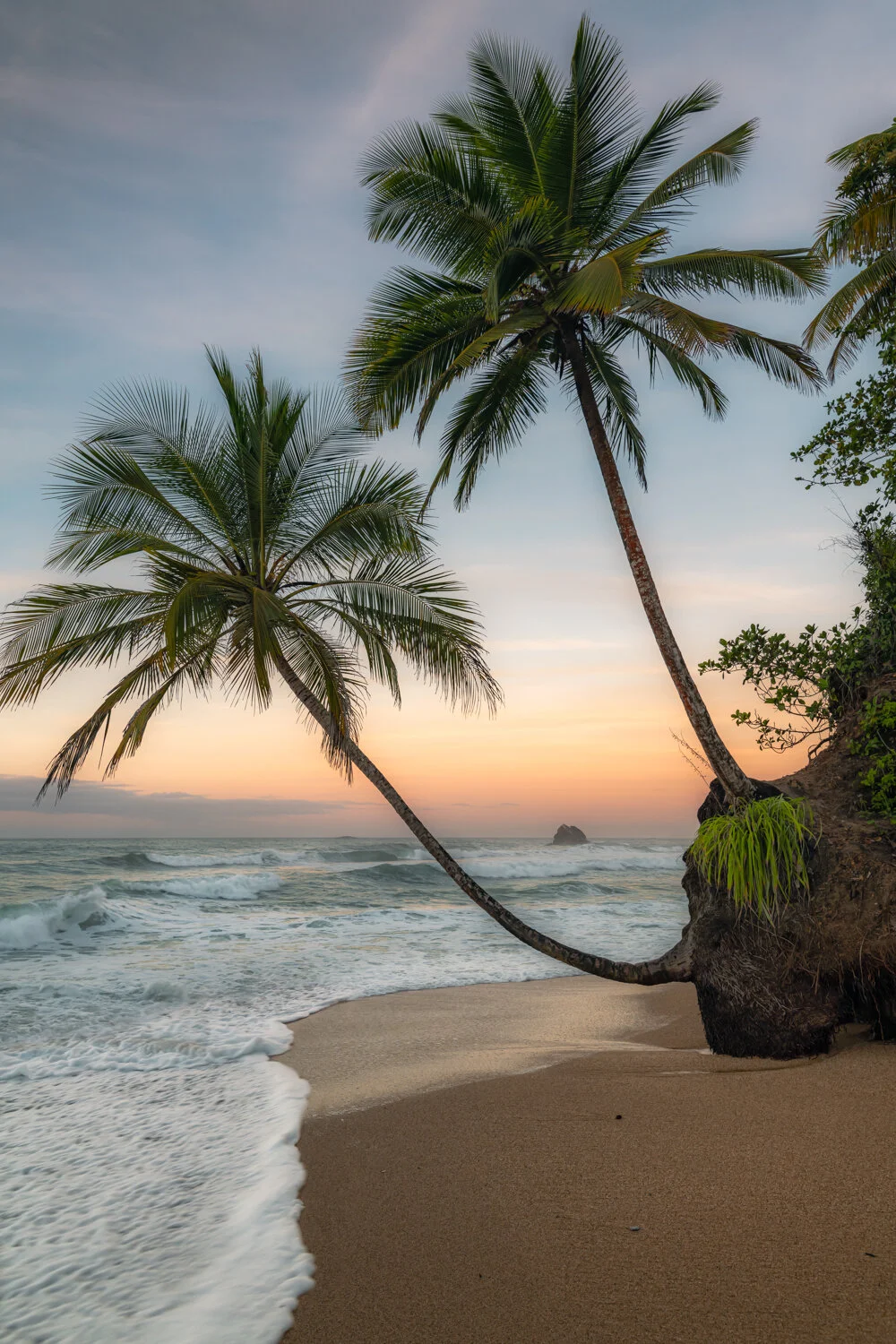 "North coast paradise" 2021. Blanchisseuse, Trinidad.