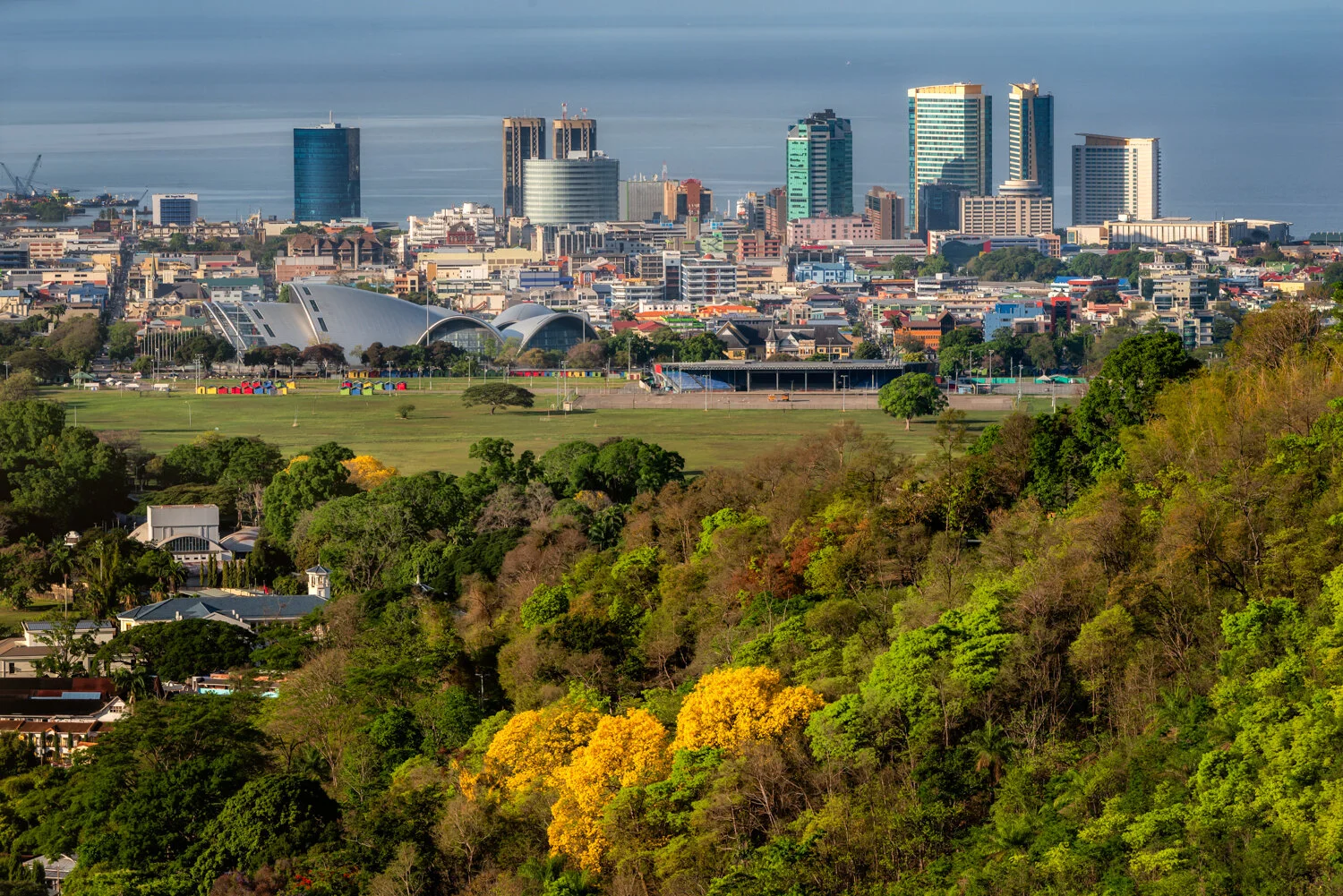"Urban Oasis" 2020. View of the city from Lady Chancellor Hill.
