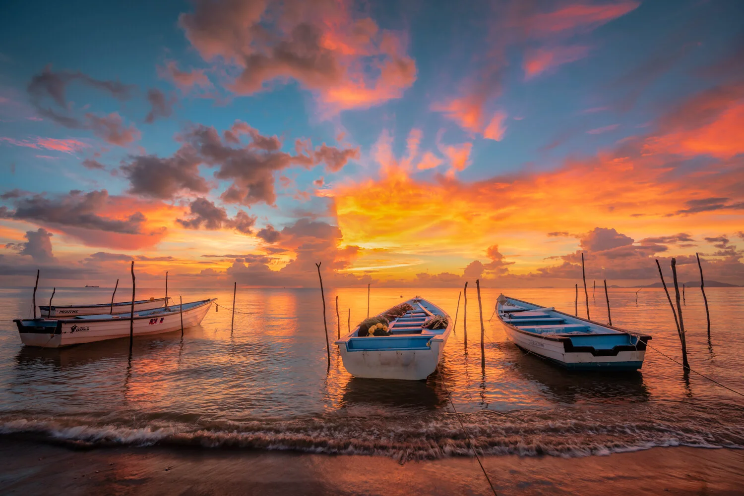 "Radiant light and colour" 2017. Carli Bay, Couva.