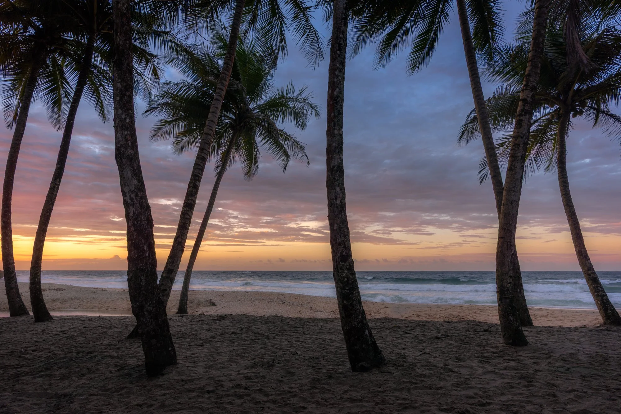 "Island escapes: Serenity" 
20 May 2023
North Coast, Trinidad.