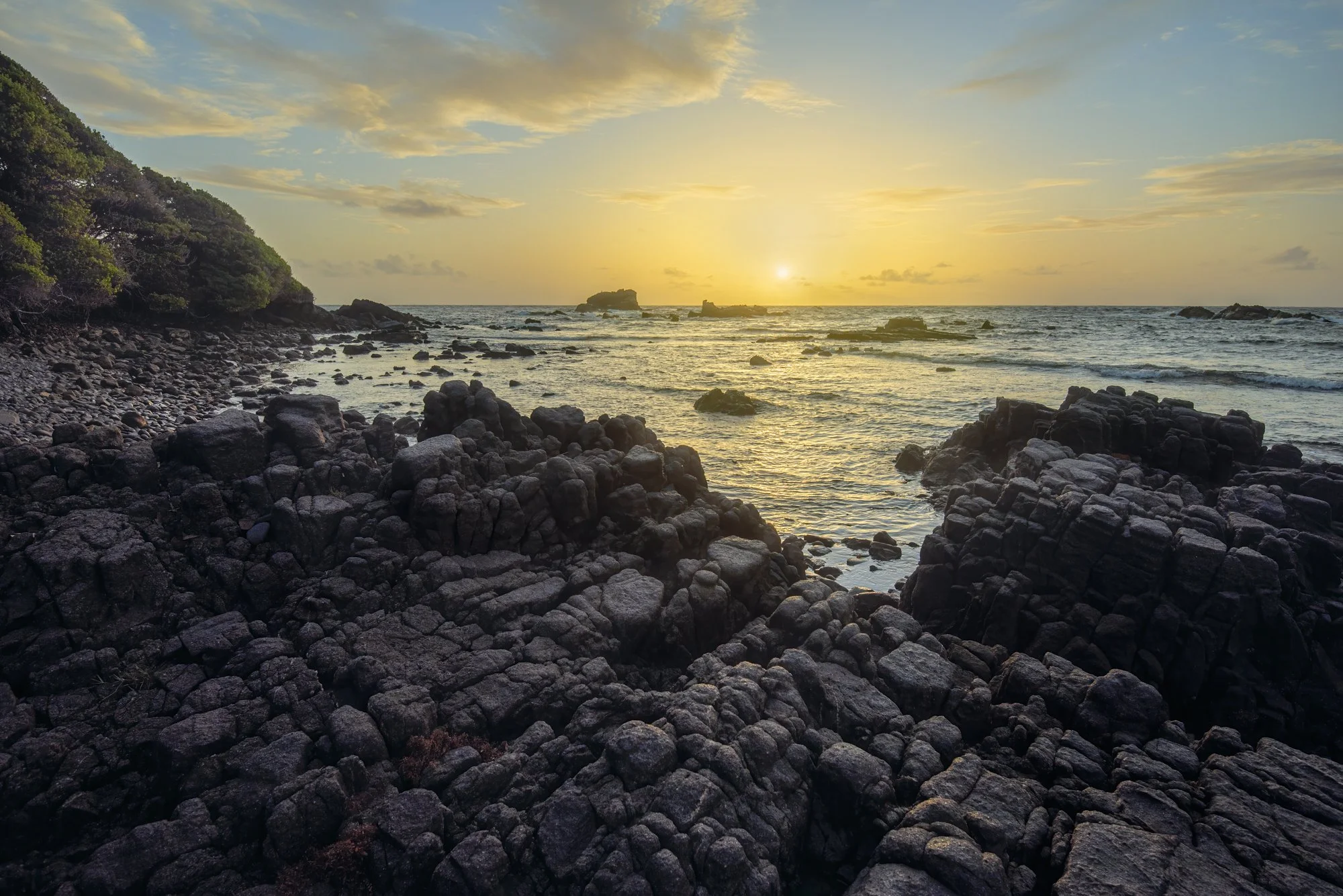 "Coastal wonders" 2020. Toco, Trinidad.