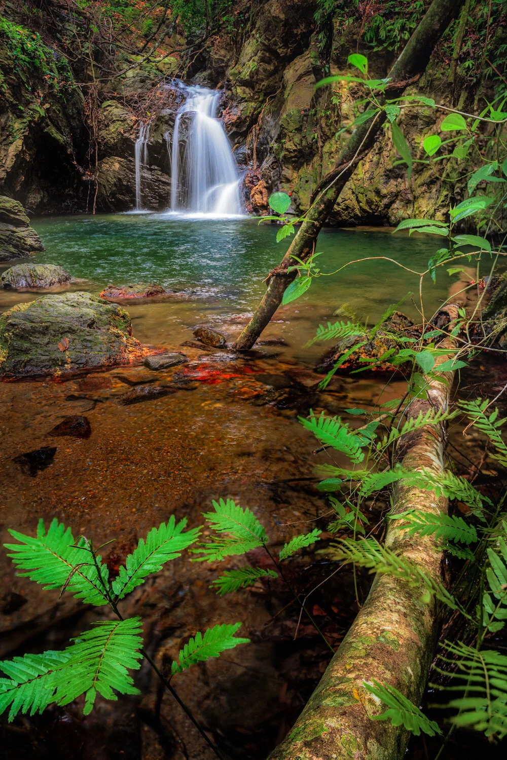 "Lush gem" 2020: Rampanalgas Falls setting with lush foliage in the basin.