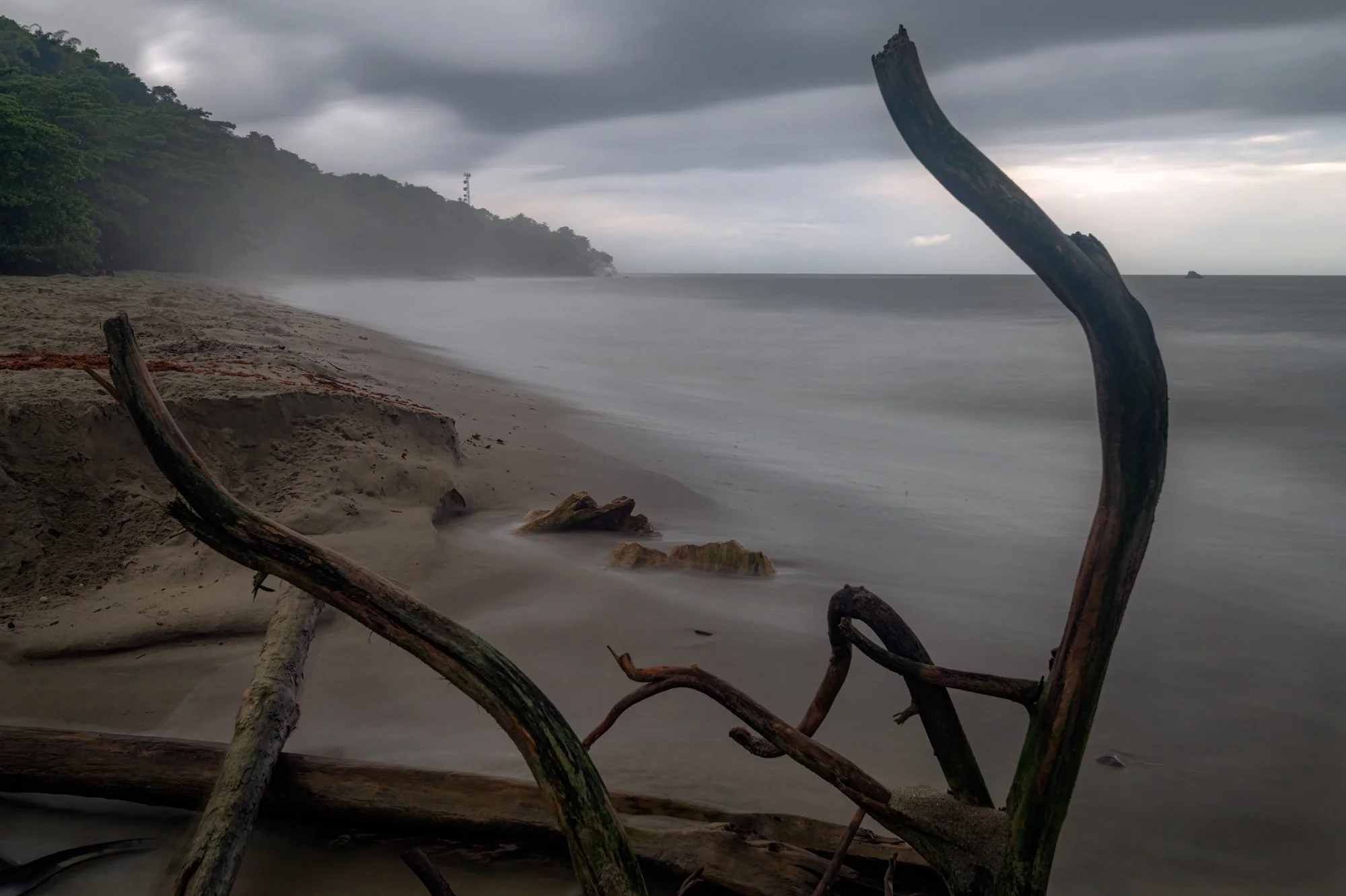 "Moody Grand Riviere" 2024.