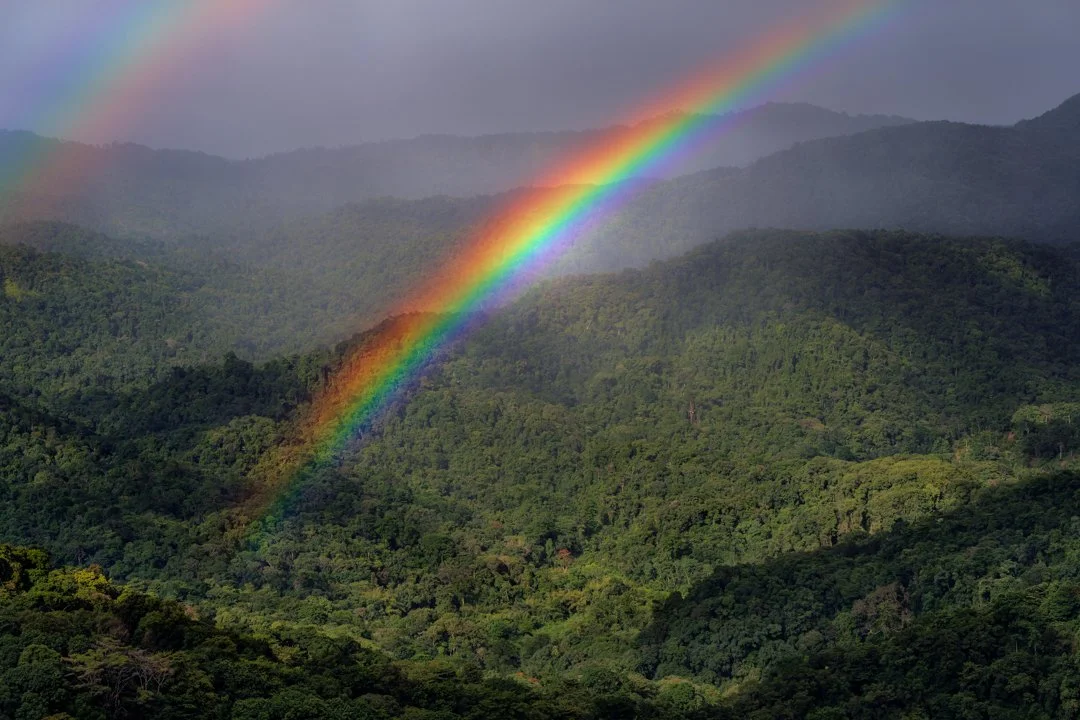 "Northern range rainbow" 2021. Seemingly standing on the top of Trinidad looking down from our perch at the mountains as a beautiful rainbow colorized the distant tropical forests of our northern range.