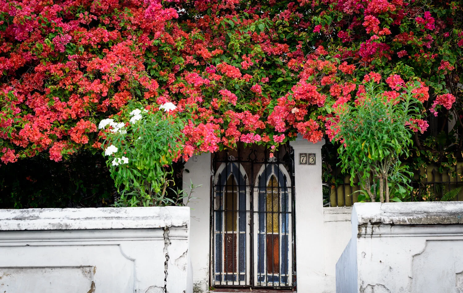 "Urban Bouquet" 2018. Cipriani Blvd, Port of Spain.