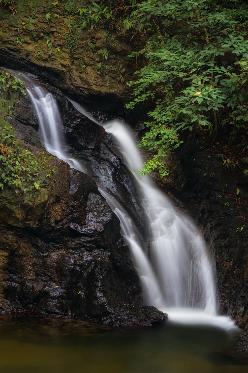 "The little waterfall that could" 2020. upper Rampanalgas Falls, Toco, Trinidad.
