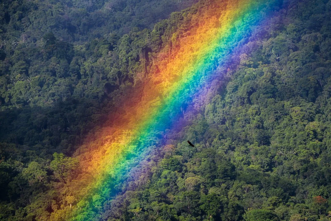 "Full Spectrum" 2021. Seemingly standing on the top of Trinidad looking down from our perch at the mountains as a beautiful rainbow colorized the distant tropical forests of our northern range.