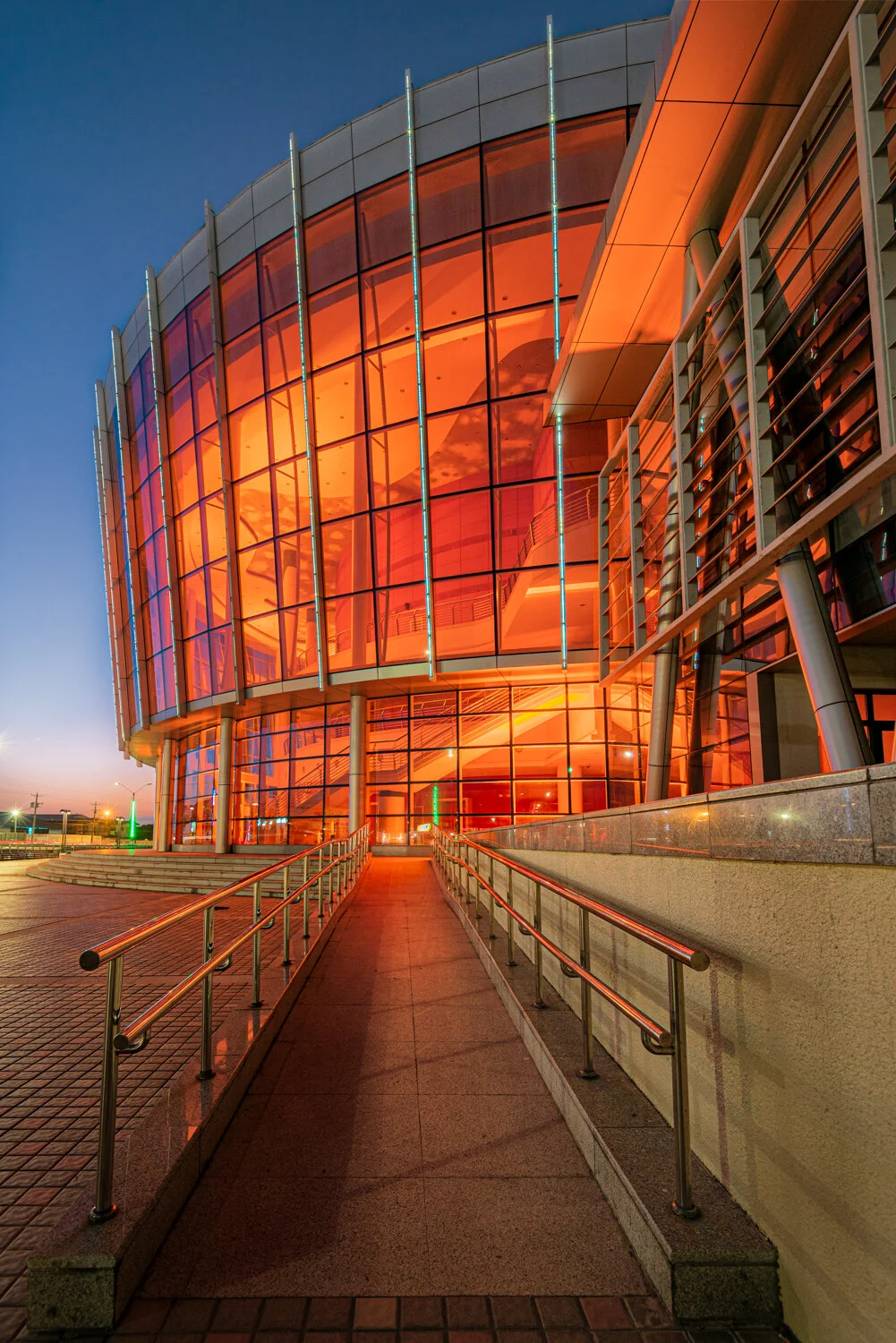 "SAPA portrait" 2020.