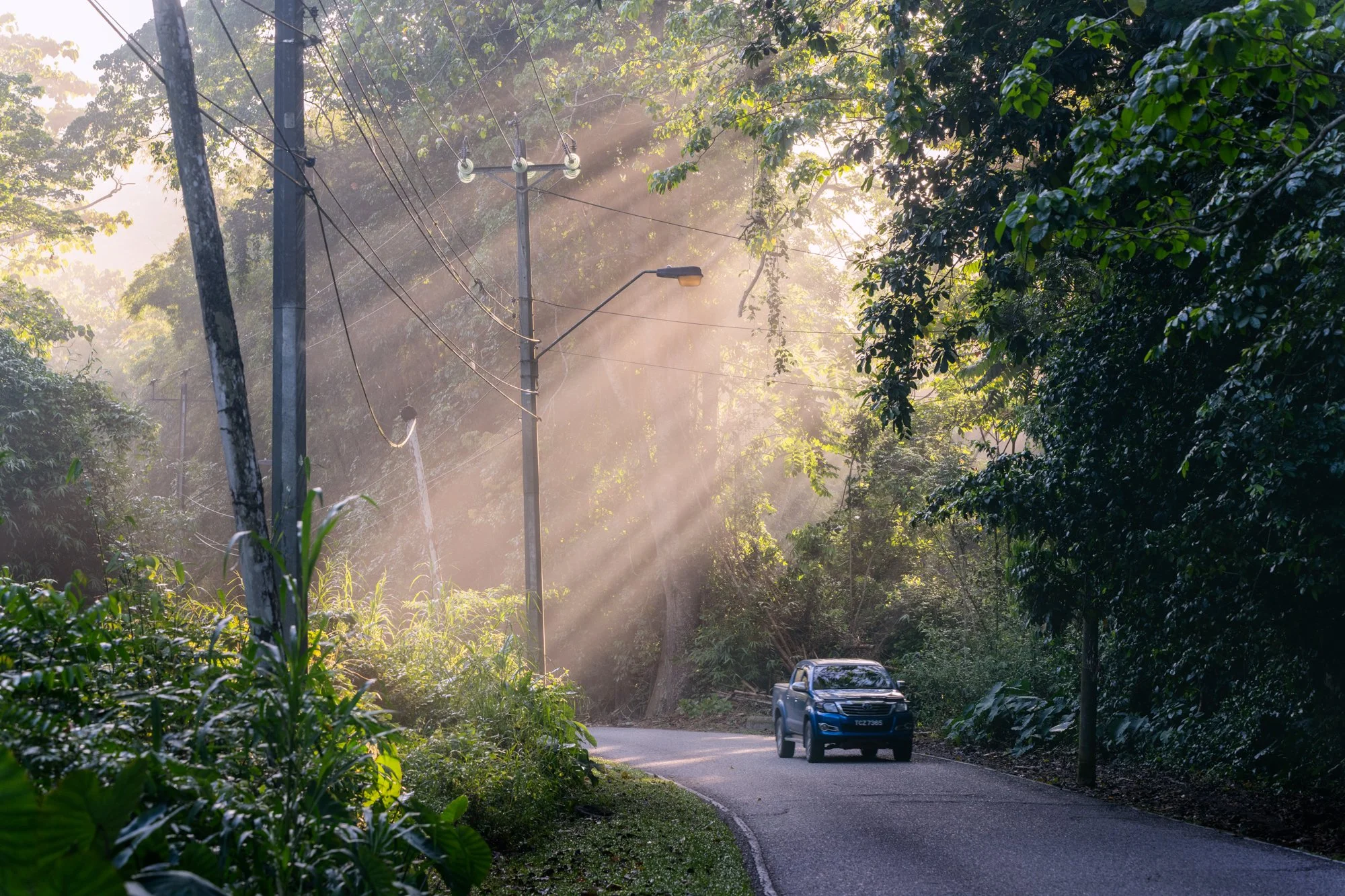 "Saddle Road Portal" 2023. Saddle Road, Santa Cruz, Trinidad.