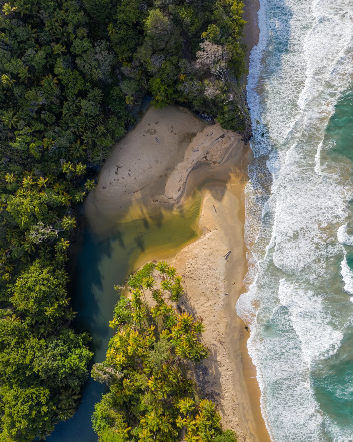 "Yarra Bay top down view" 2020. Yarra Bay, Blanchisseuse.