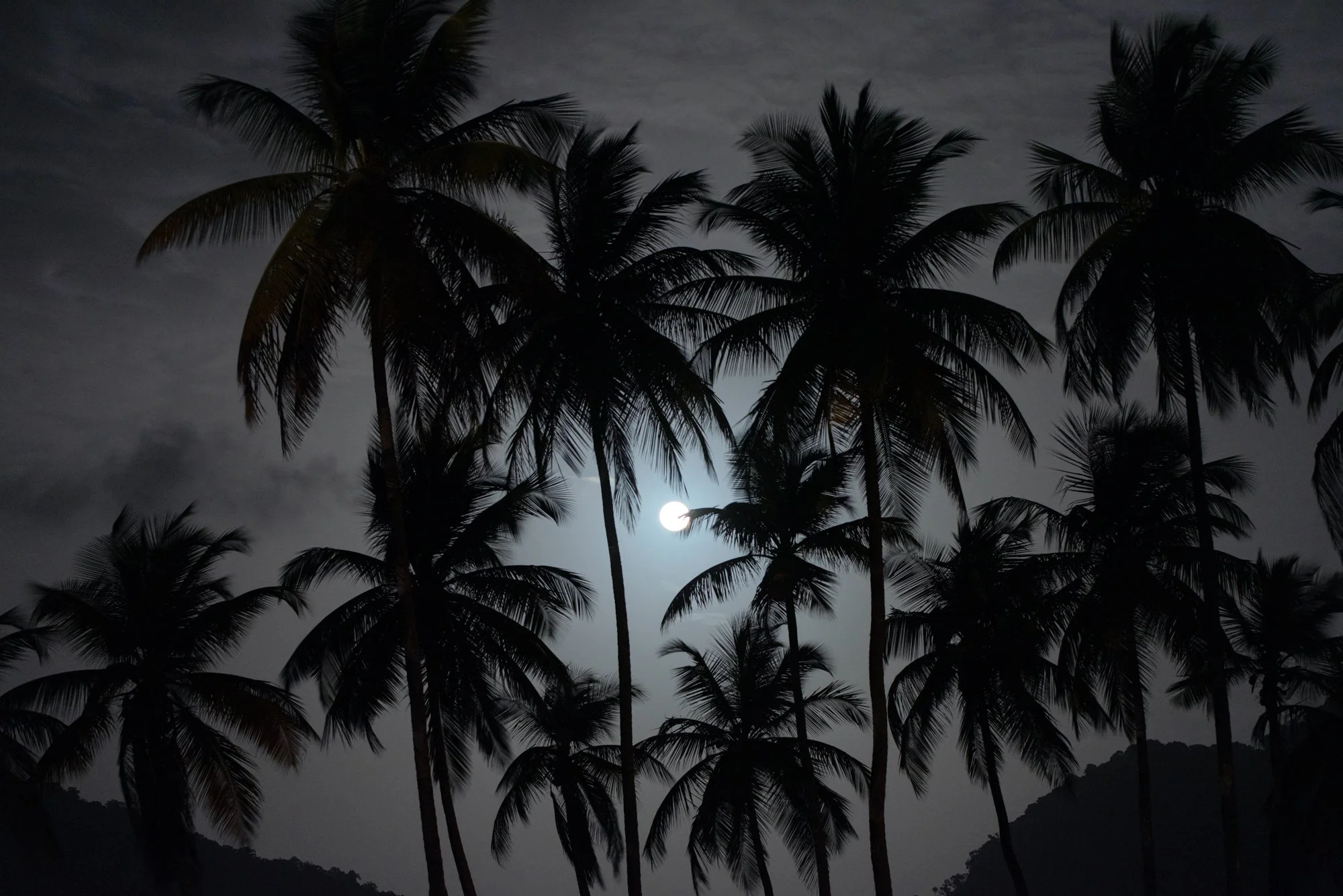 "Island escapes: Moonlit" 
27 February 2021
North Coast, Trinidad.