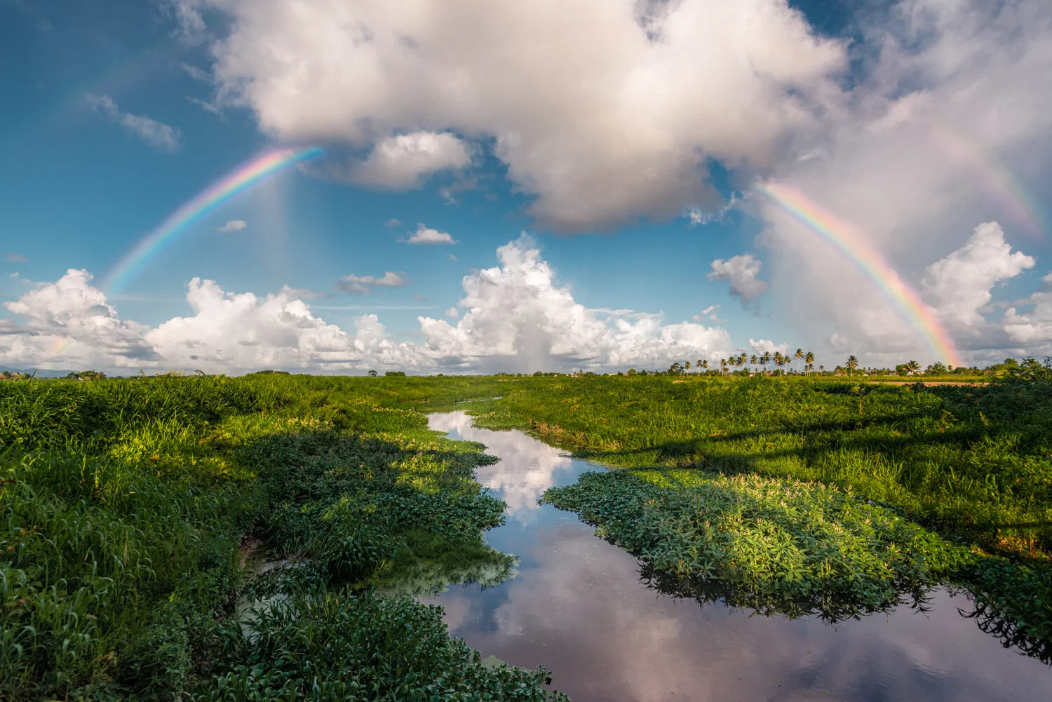 "Double Rainbow in Caroni" 2019. Caroni Plains, Trinidad.