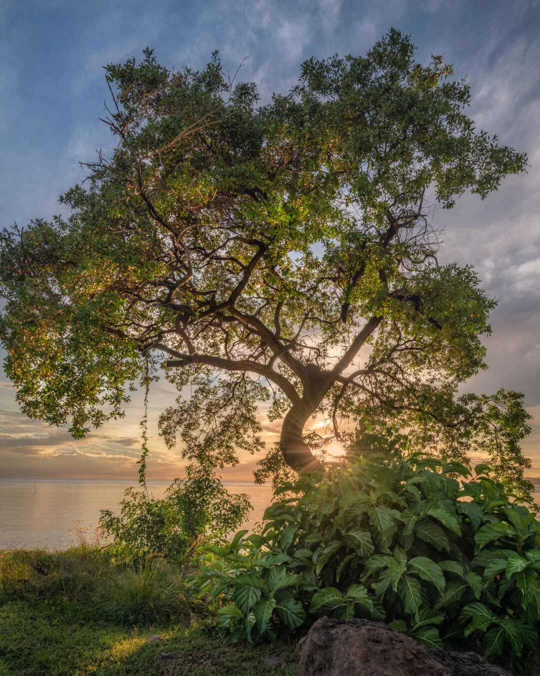"Light Catcher" 2020. Foreshore, Audrey Jeffers Highway, Port of Spain
