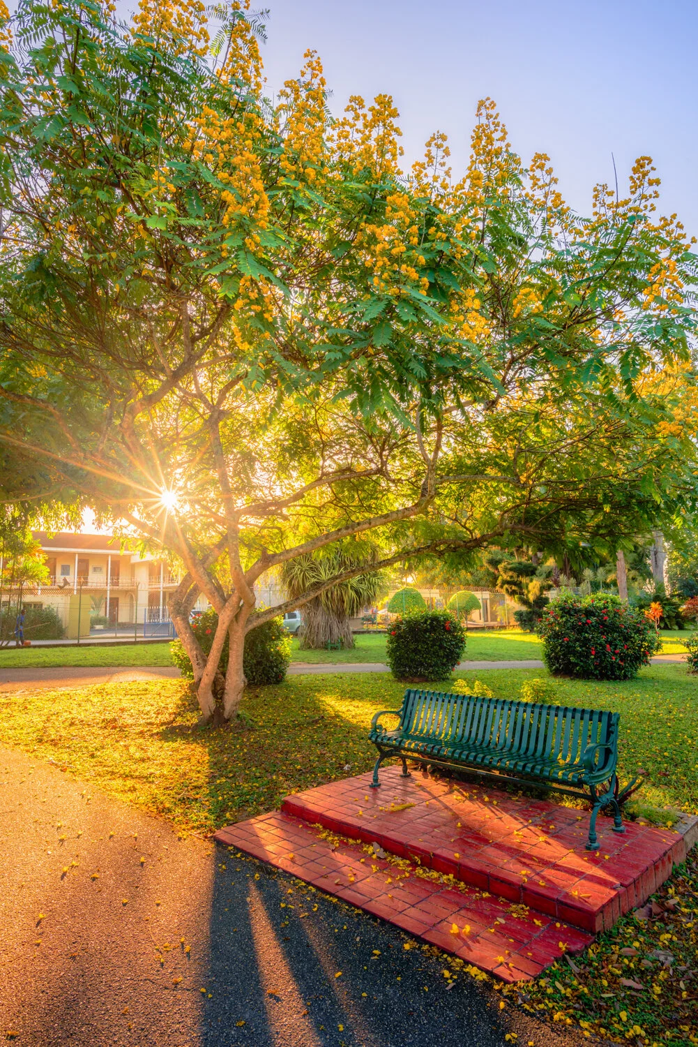 "Illuminated grounds" 2020: Morning light illuminates the well manicured grounds of the Royal Botanical Gardens.