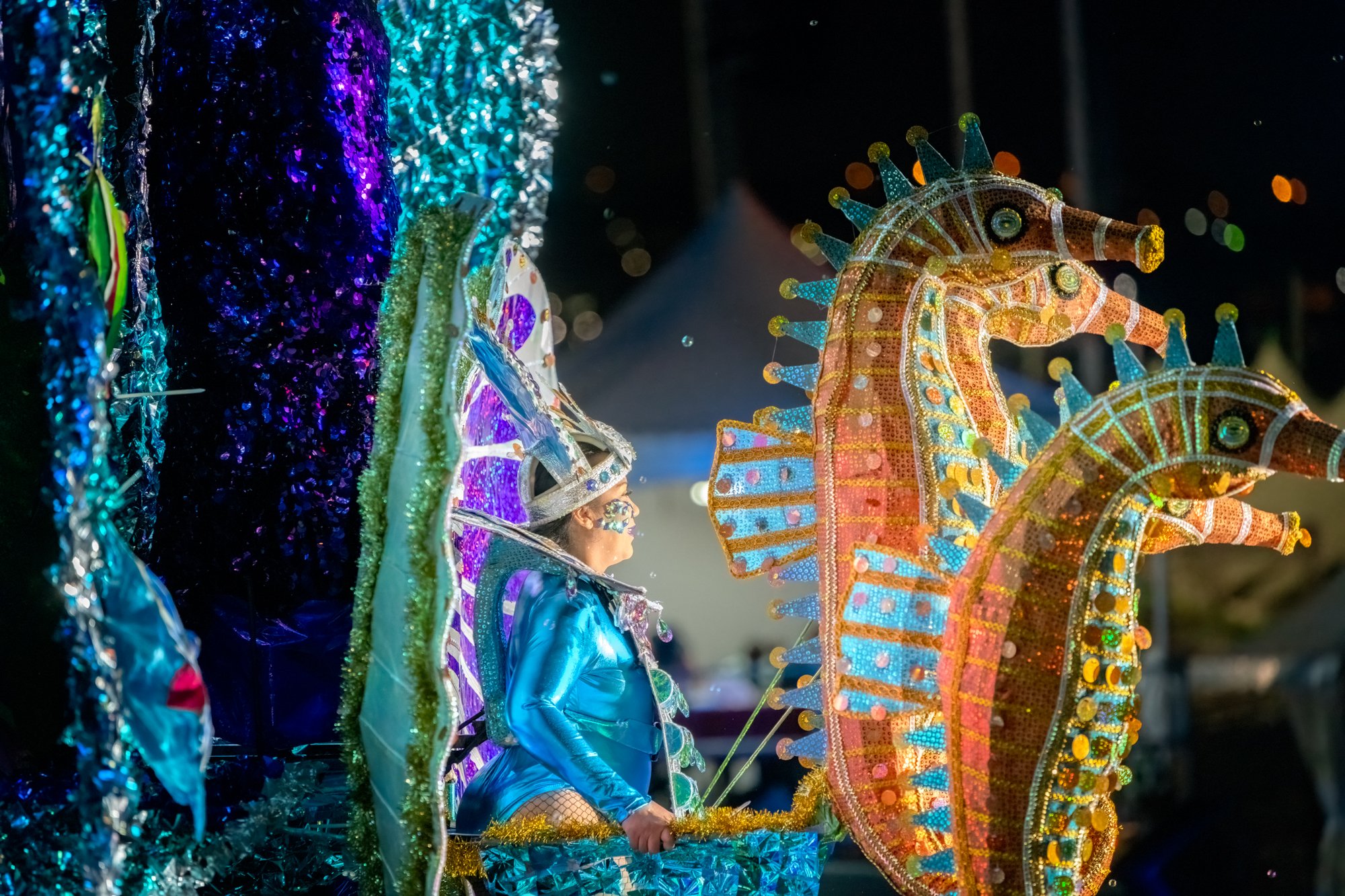 Senior Kings and Queens Semis/Junior Kings and Queens Finals of Carnival 2025.
Wednesday 26th February 2025.