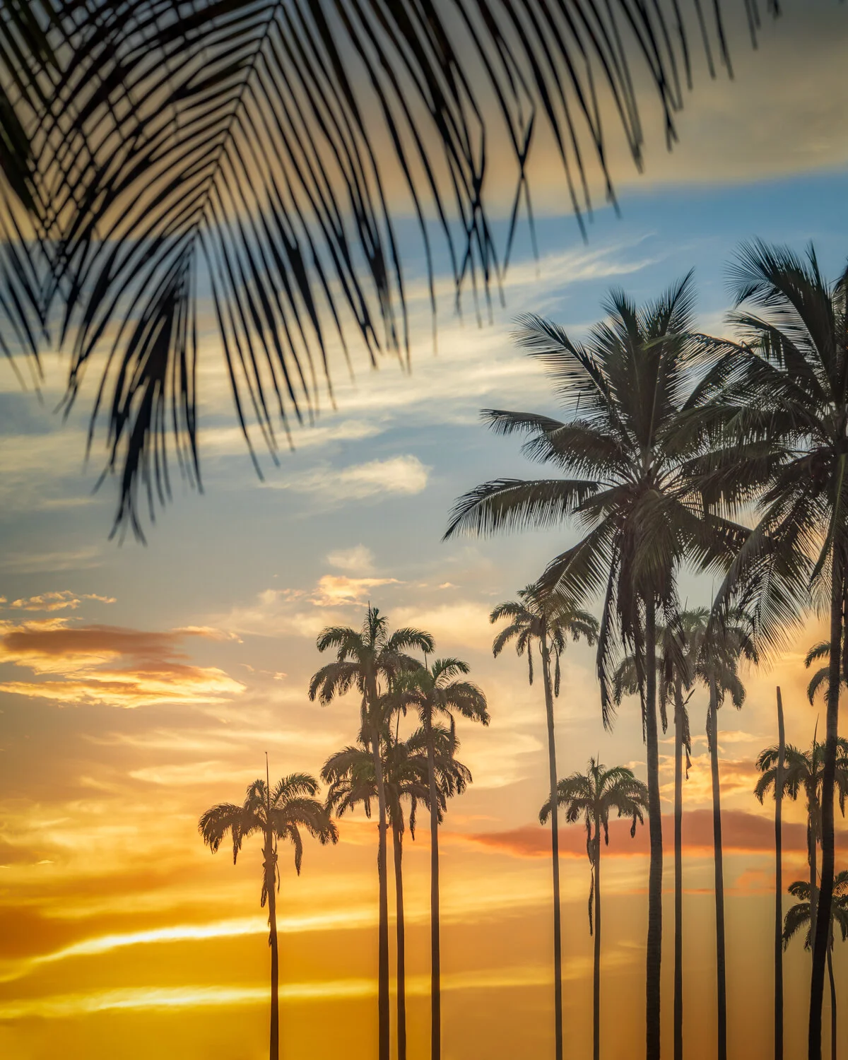"Tropical island views" 2020. Manzanilla/Mayaro scenery at its best, Trinidad.