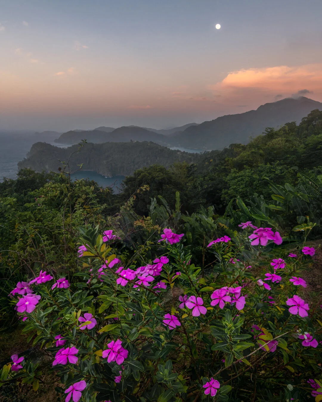 "Lookout moonrise" 2021. Everyone's favourite lookout at twilight with the full moon rising in the distance.