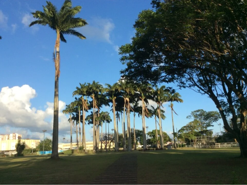 Savannah Gardens in Fort-de-France