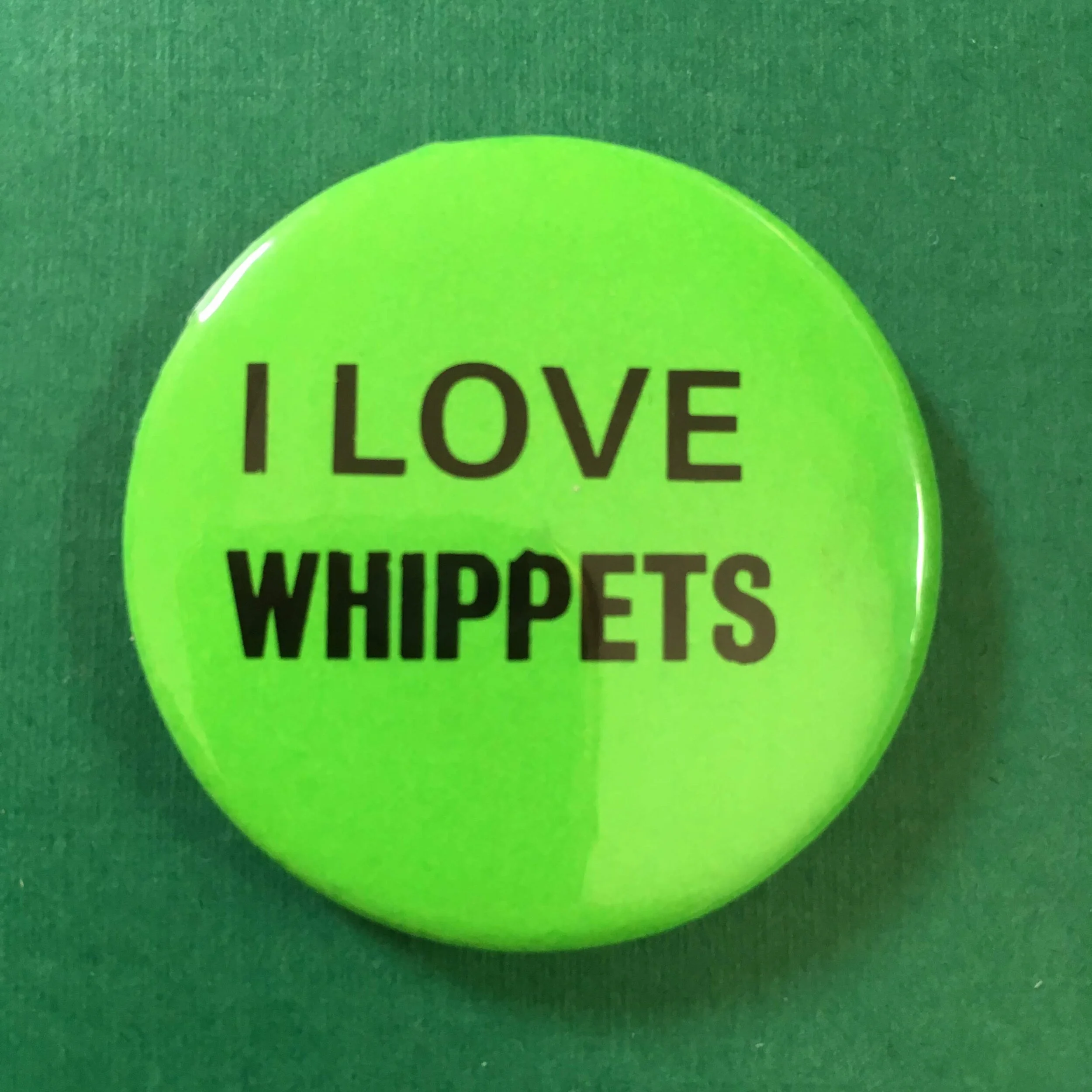 I Love Whippets