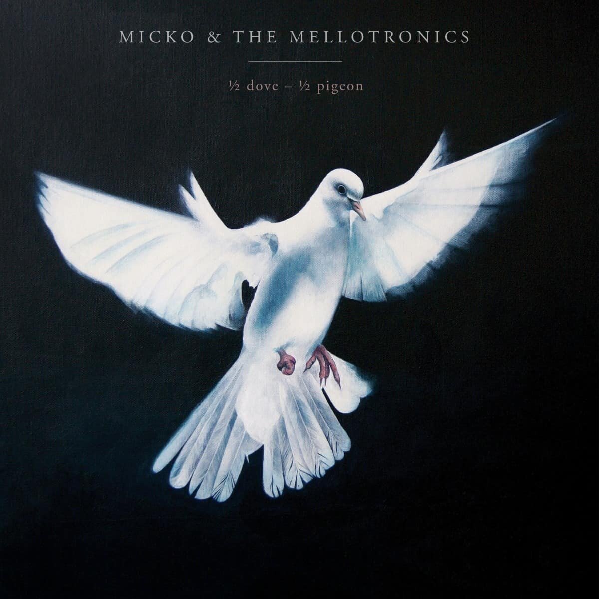 ½ Dove – ½ Pigeon by Micko &amp; the Mellotronics