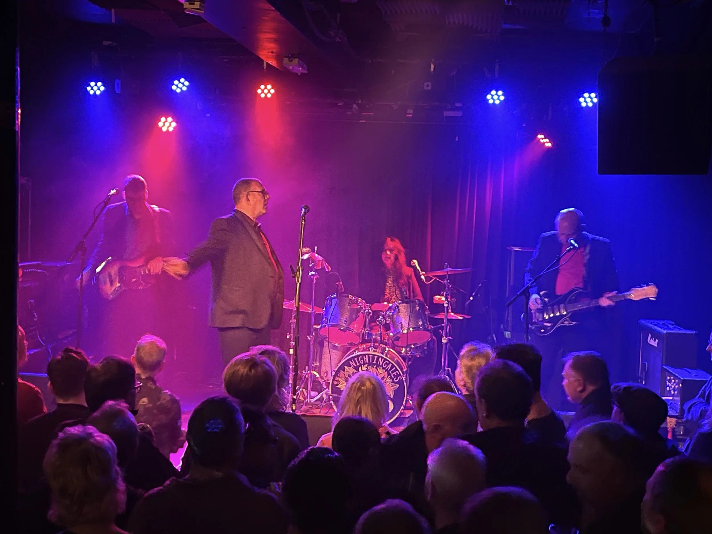 The Nightingales | Ted Chippington | Blue Orchids