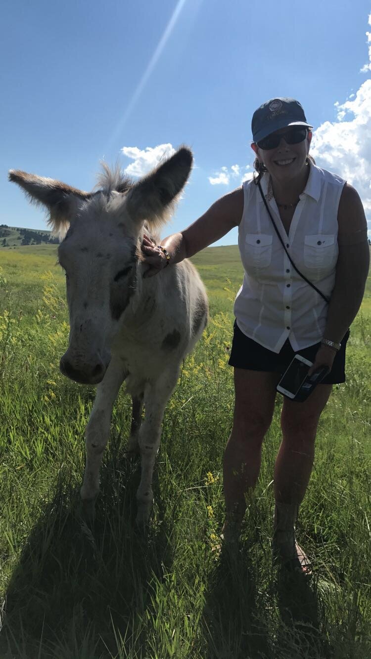 Custer Park Donkey Vacation