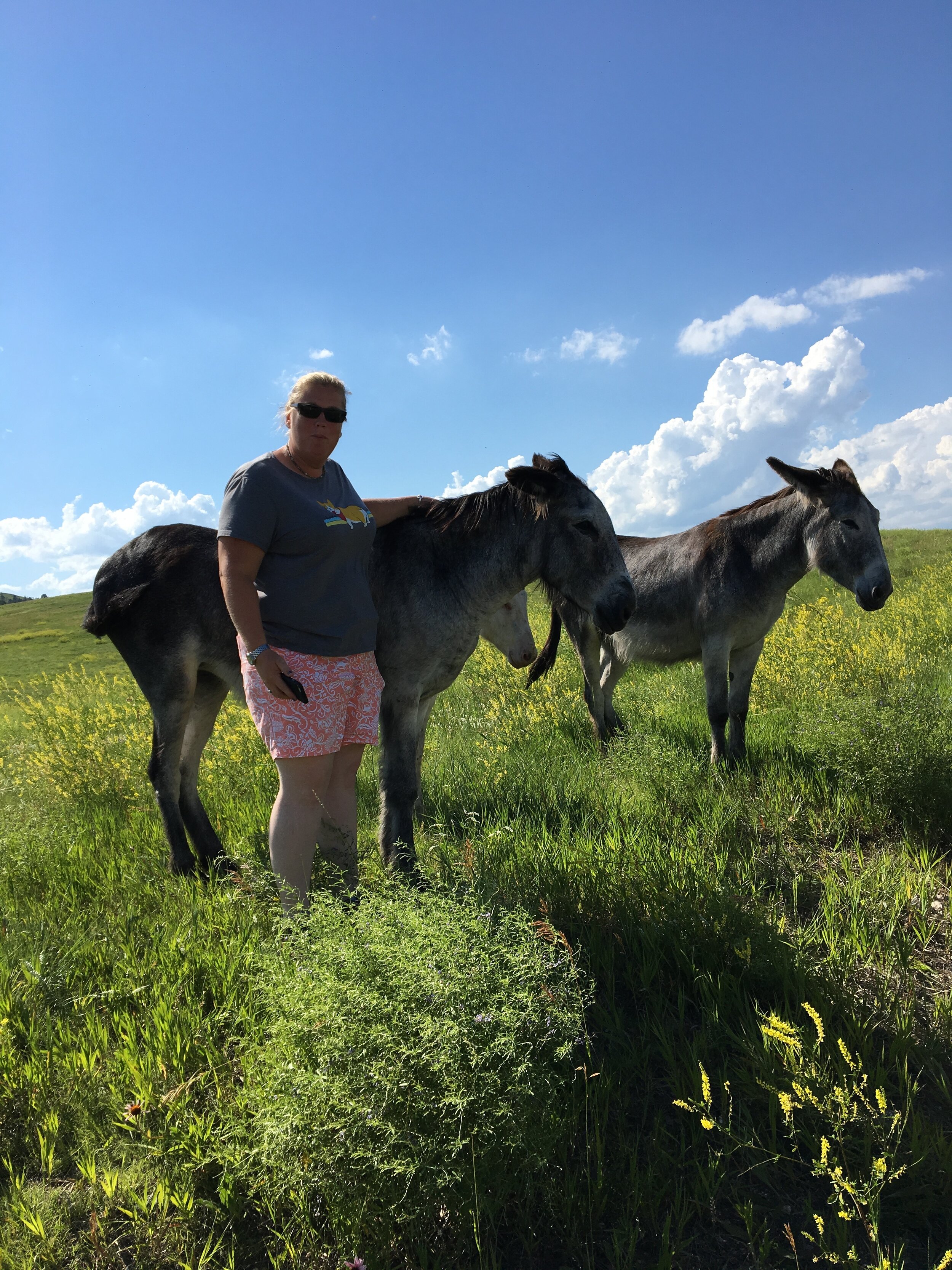 Petting Donkeys in Custer (Copy)