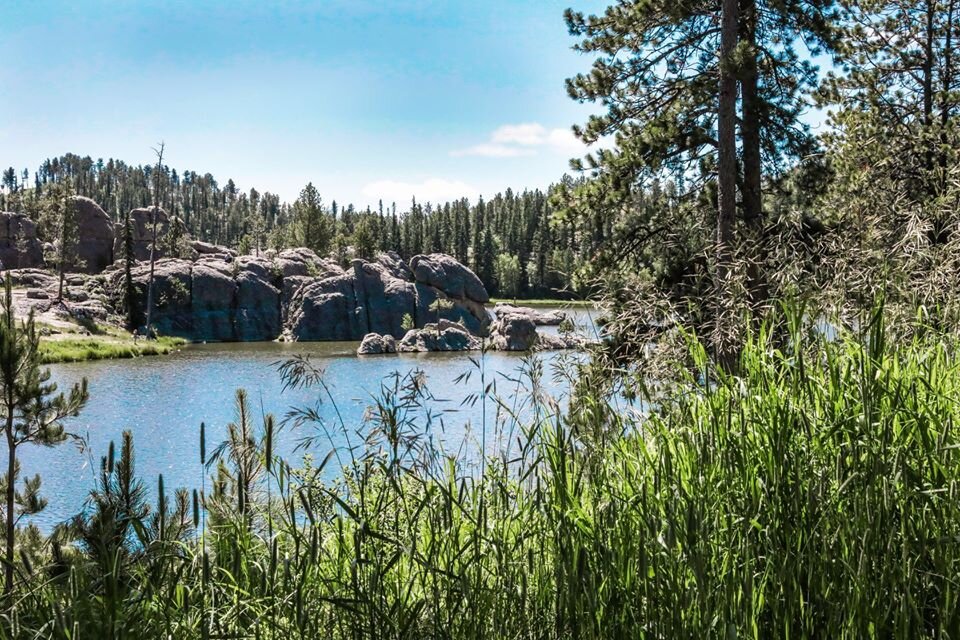 custer-state-park-lake-rocks.jpg