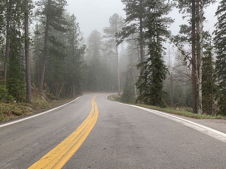 needles-highway-fog.jpg