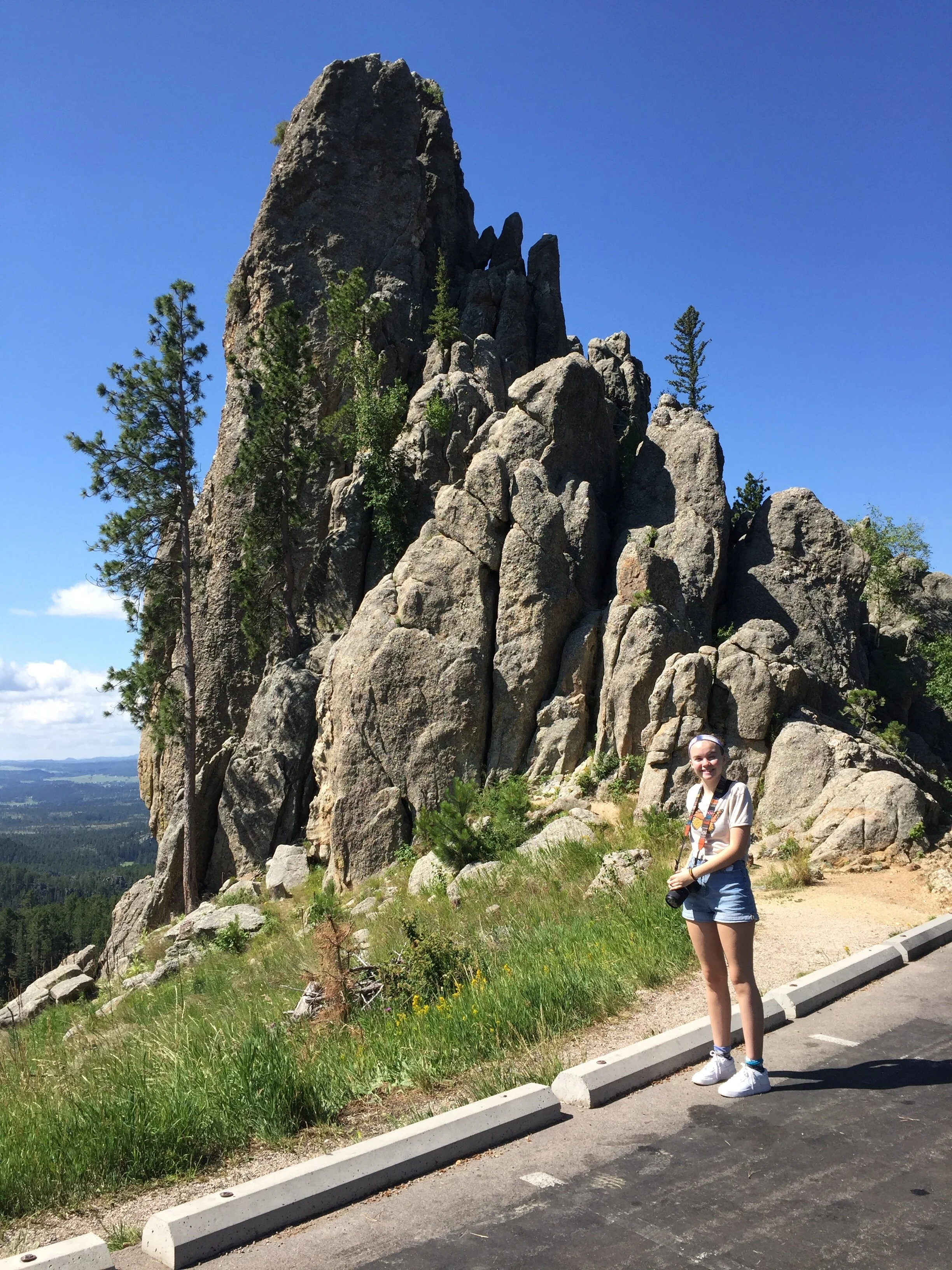 Needles Highway — Dave's World Tours