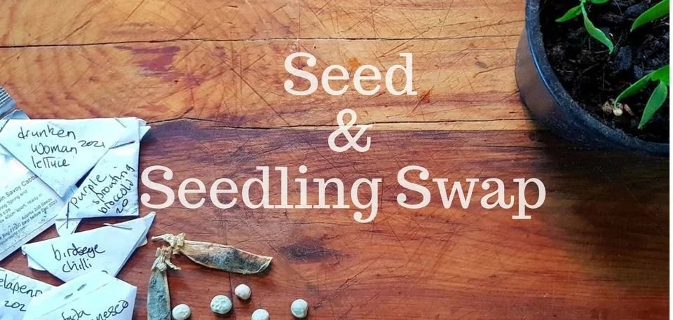 Miramar - Seed &amp; Seedling Swap