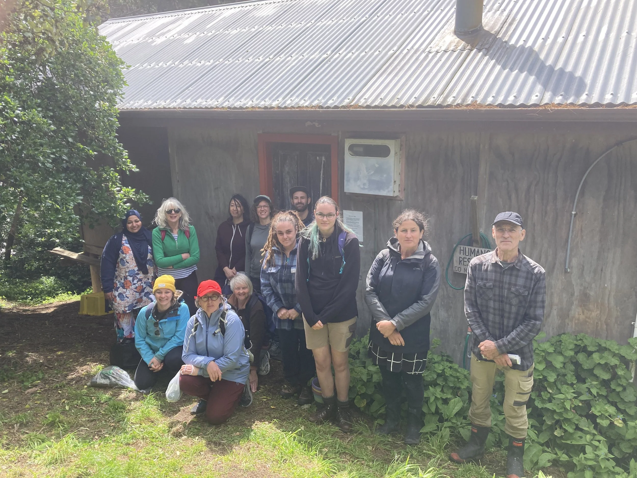 HAEWAI BUSH FORAGE & WILD LUNCHG