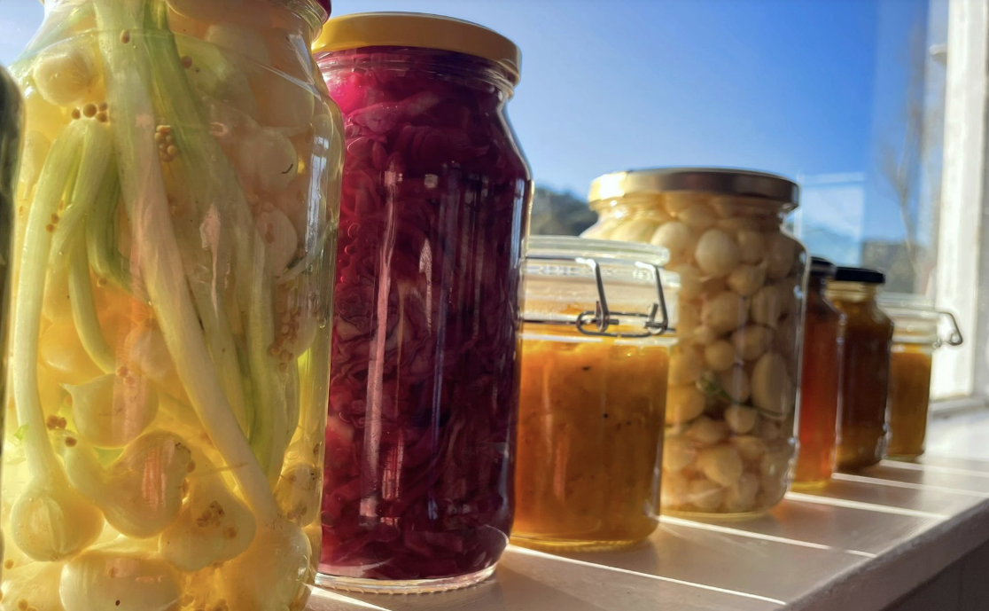 Island Bay Pickle Party 🥒