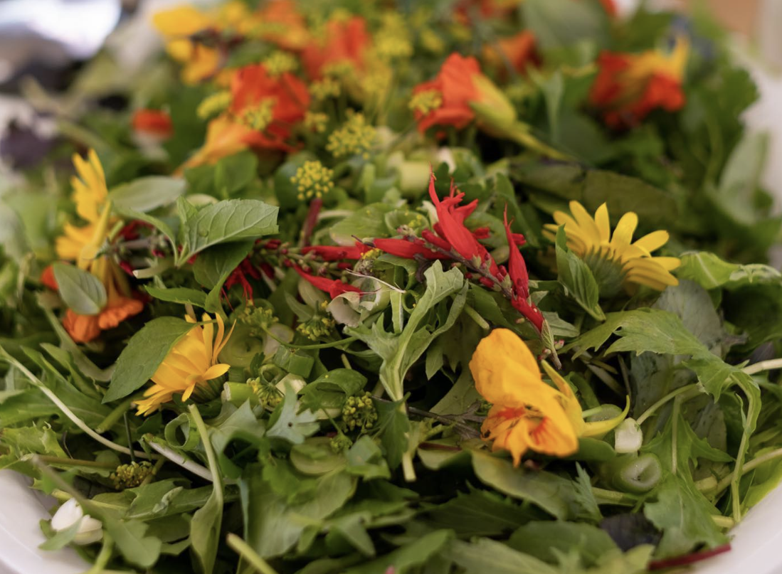 Miramar Harvest Lunch