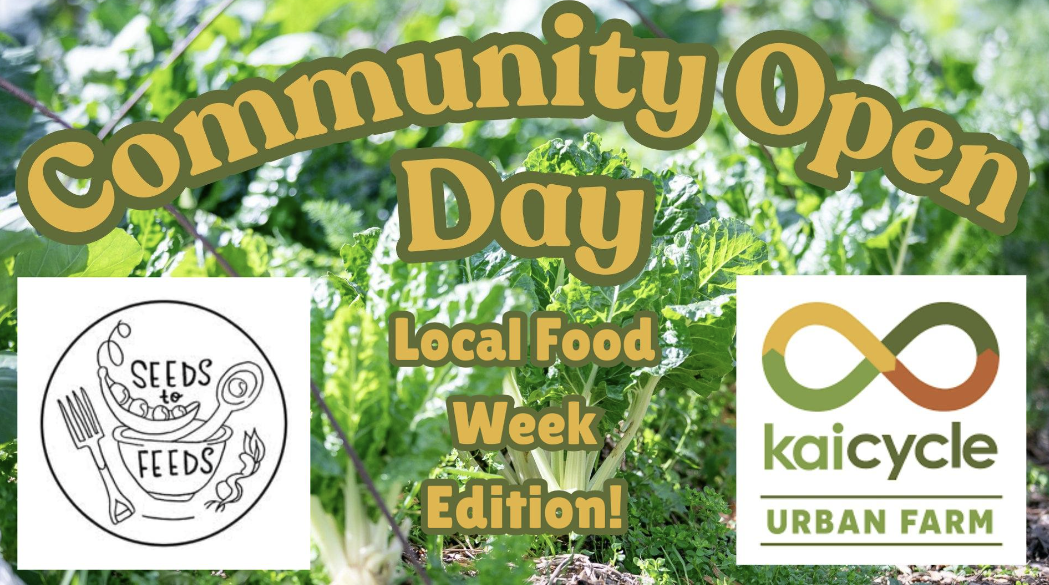 Community Open Day at Kaicycle!