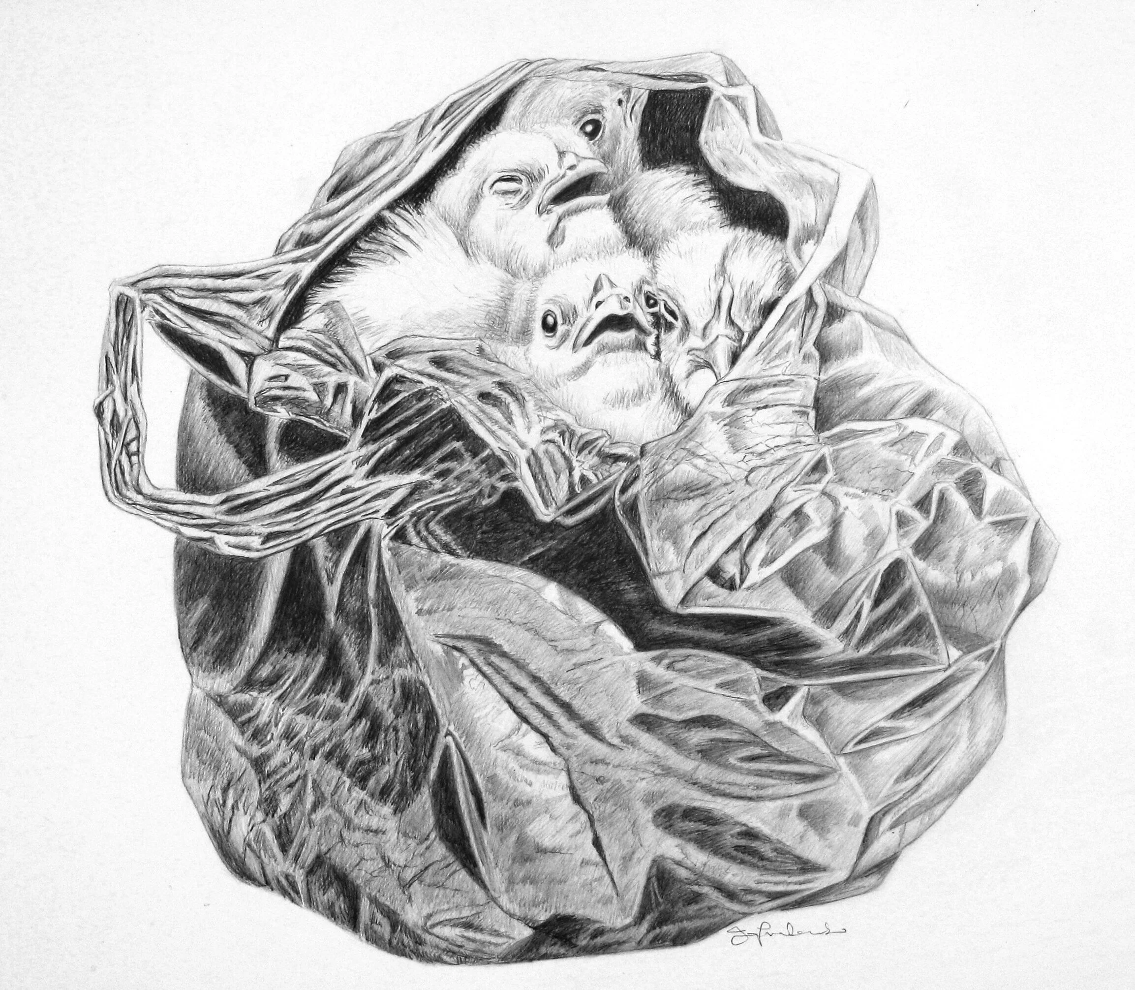 THE DISCARDED PLASTIC OF OUR LIFE