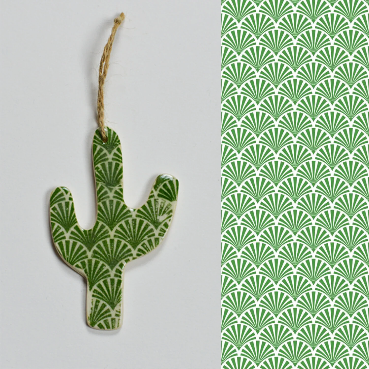 CACTUS shells web pic mock up.jpg