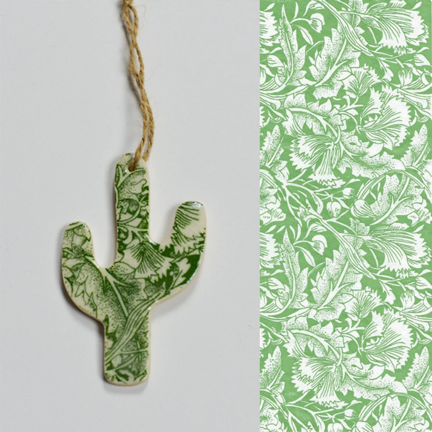 CACTUS vine 3 web pic mock up.jpg