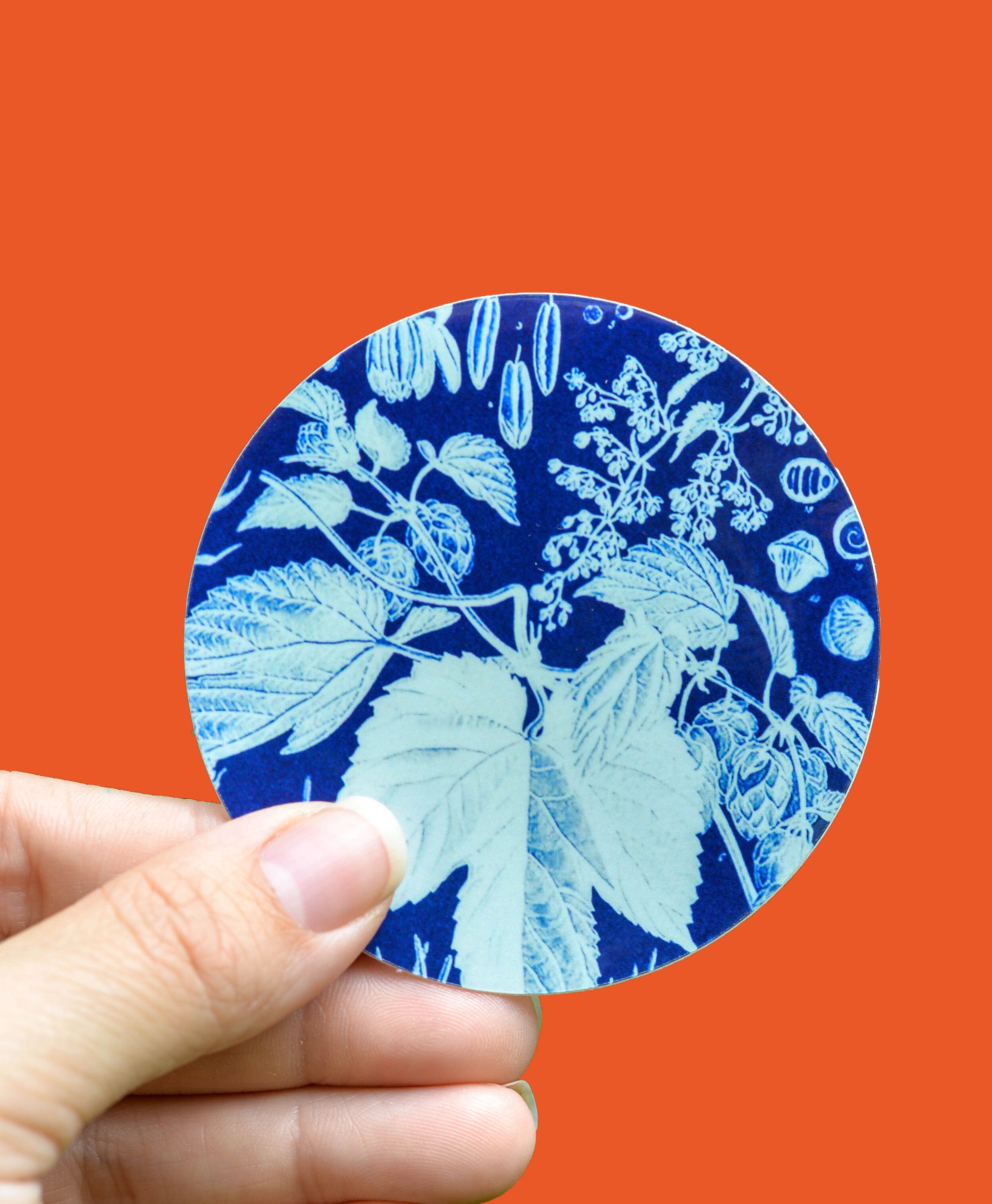 Hop Botanical No.3  Sticker
