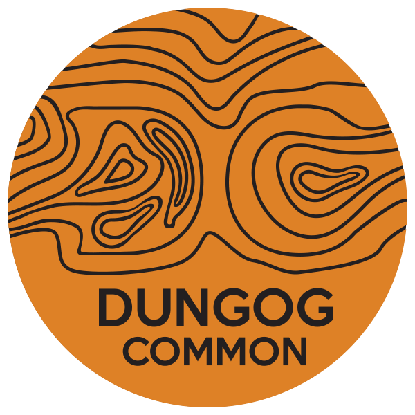 Dungog Common