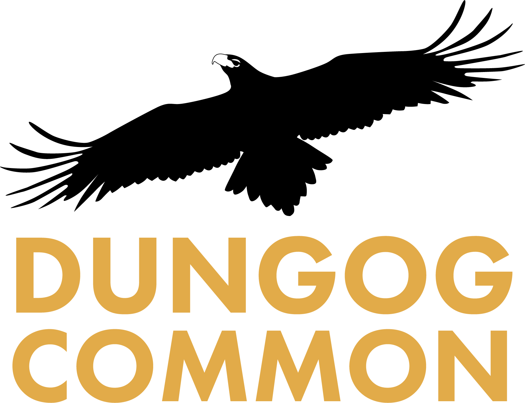 Dungog Common Recreation Reserve
